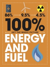  100% Get the Whole Picture: Energy and Fuel