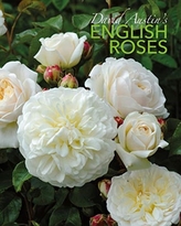  David Austin\'s English Roses