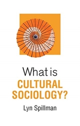  What is Cultural Sociology?