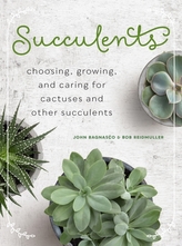  Succulents
