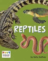  Reptiles