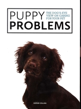  Puppy Problems