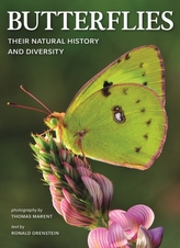  Butterflies: Their Natural History and Diversity