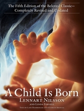  Child Is Born