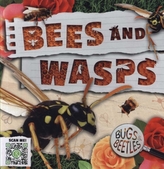  Bees and Wasps