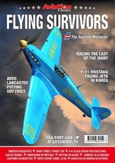  Flying Survivors - WW2 Aircraft in Peacetime