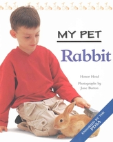  My Pet Rabbit