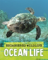  Endangered Wildlife: Rescuing Ocean Life