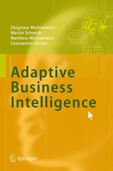  Adaptive Business Intelligence