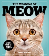 The Meaning Of Meow