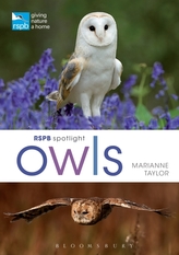  RSPB Spotlight Owls