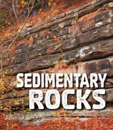  Sedimentary Rocks