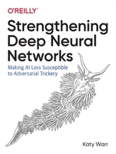  Strengthening Deep Neural Networks