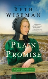  Plain Promise