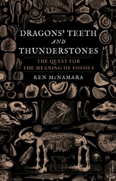  Dragons\' Teeth and Thunderstones