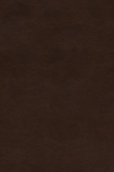  ESV Preaching Bible