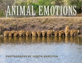  Animal Emotions