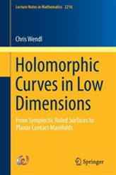  Holomorphic Curves in Low Dimensions