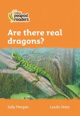  Level 4 - Are there real dragons?