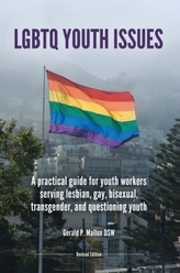  LGBTQ Youth Issues