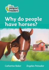  Level 3 - Why do people have horses?