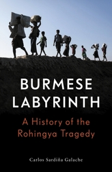 The Burmese Labyrinth