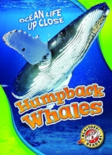  Humpback Whales
