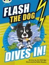  Bug Club Independent Fiction Year 3 Brown B Flash the Dog Dives In!
