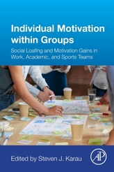  Individual Motivation within Groups