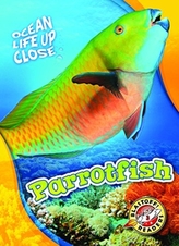 Parrotfish