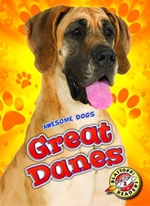  Great Danes