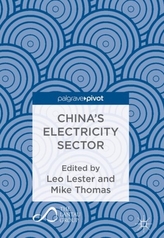  China\'s Electricity Sector