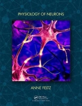  Physiology of Neurons