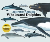  Australia\'s Amazing Whales and Dolphins