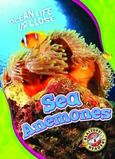  Sea Anemones