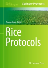 Rice Protocols