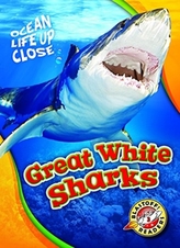  Great White Sharks