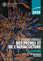  La situation mondiale des peches et de l\'aquaculture 2020