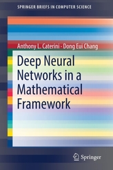 Deep Neural Networks in a Mathematical Framework