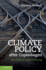  Climate Policy after Copenhagen