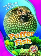  Puffer Fish