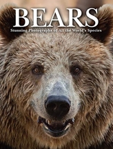  Bears