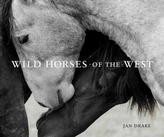  Wild Horses of the West