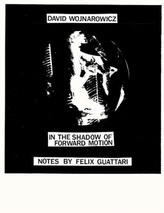  David Wojnarowicz: In the Shadow of Forward Motion