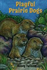  Playful Prairie Dogs