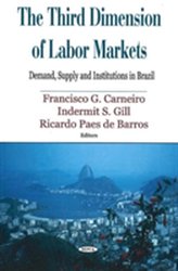  Third Dimension of Labor Markets