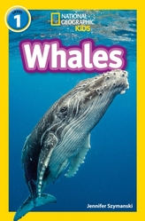  Whales