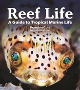  Reef Life