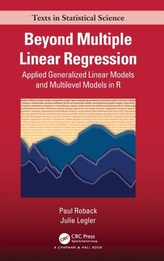  Beyond Multiple Linear Regression