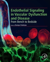  Endothelial Signaling in Vascular Dysfunction and Disease